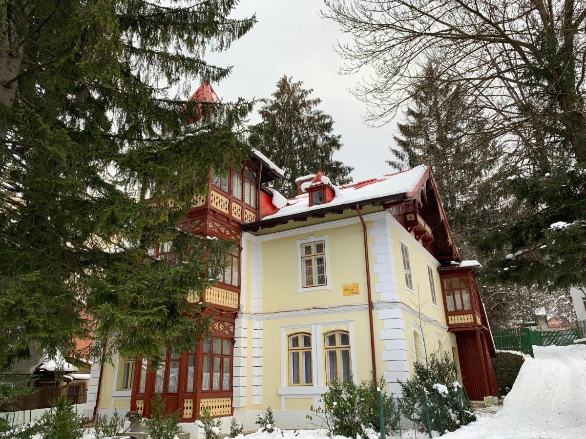 Vila Flavia Sinaia Exterior photo